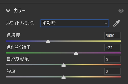 camera raw 編集 カラー